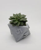 3D Printed Plant Pot - Table Top RPG Dice Succulent Planter Set