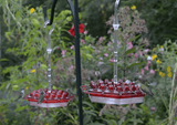 Mary's Sweety Hummingbird Feeder With Perch And Built-in Ant Moat