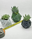 3D Printed Plant Pot - Table Top RPG Dice Succulent Planter Set