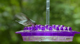 BUY 2 FREE SHIPPING Mary's Sweety Hummingbird Feeder