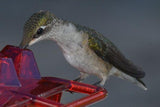 BUY 2 FREE SHIPPING Mary's Sweety Hummingbird Feeder