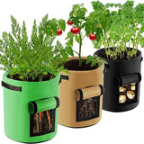 2021 Fruits Vegetables Planting bag