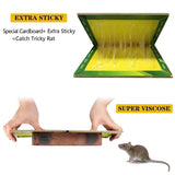 Pack Of 5 Expert Catch Mouse & Rat Glue Catch Trap