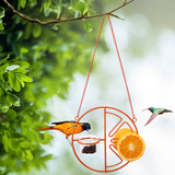 2 in 1 Hanging Clementine Hummingbird Oriole Feeder