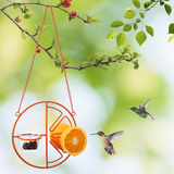 2 in 1 Hanging Clementine Hummingbird Oriole Feeder