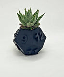 3D Printed Plant Pot - Table Top RPG Dice Succulent Planter Set