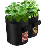 2021 Fruits Vegetables Planting bag