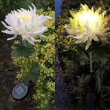 🏡CHRYSANTHEMUM SOLAR GARDEN LIGHT💐 BUY 8 GET FREE SHIPPING&SAVE 20% OFF