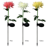 🏡CHRYSANTHEMUM SOLAR GARDEN LIGHT💐 BUY 8 GET FREE SHIPPING&SAVE 20% OFF