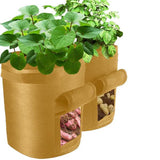 2021 Fruits Vegetables Planting bag