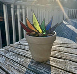 (🔥Summer Hot Sale-49% OFF)Suncatcher Stained Agave Plante