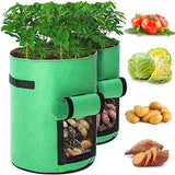 2021 Fruits Vegetables Planting bag